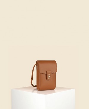 Brown Cafuné Trunk Box Women's Crossbody Bags | LQU6576OJ